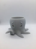 Octopus planter.