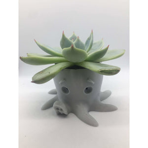 Octopus planter.