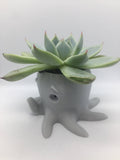 Octopus planter.