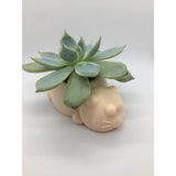 Cute Cat Planter - kitty planter - kitty cat planter -  cat plant pot.