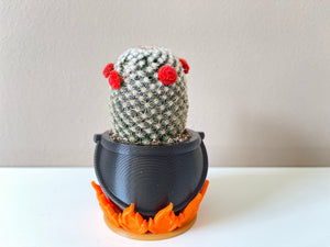 Cauldron Planter. A Unique Witch Decor plant pot or wizarding world Cacti succulent cute desk planter. Mini Planter box. Gothic Office pot